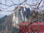 BLED06